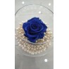 Rosa stabilizzata XL da 6 cm  Blu  in ampolla di vetro dm 9 con perle bianche